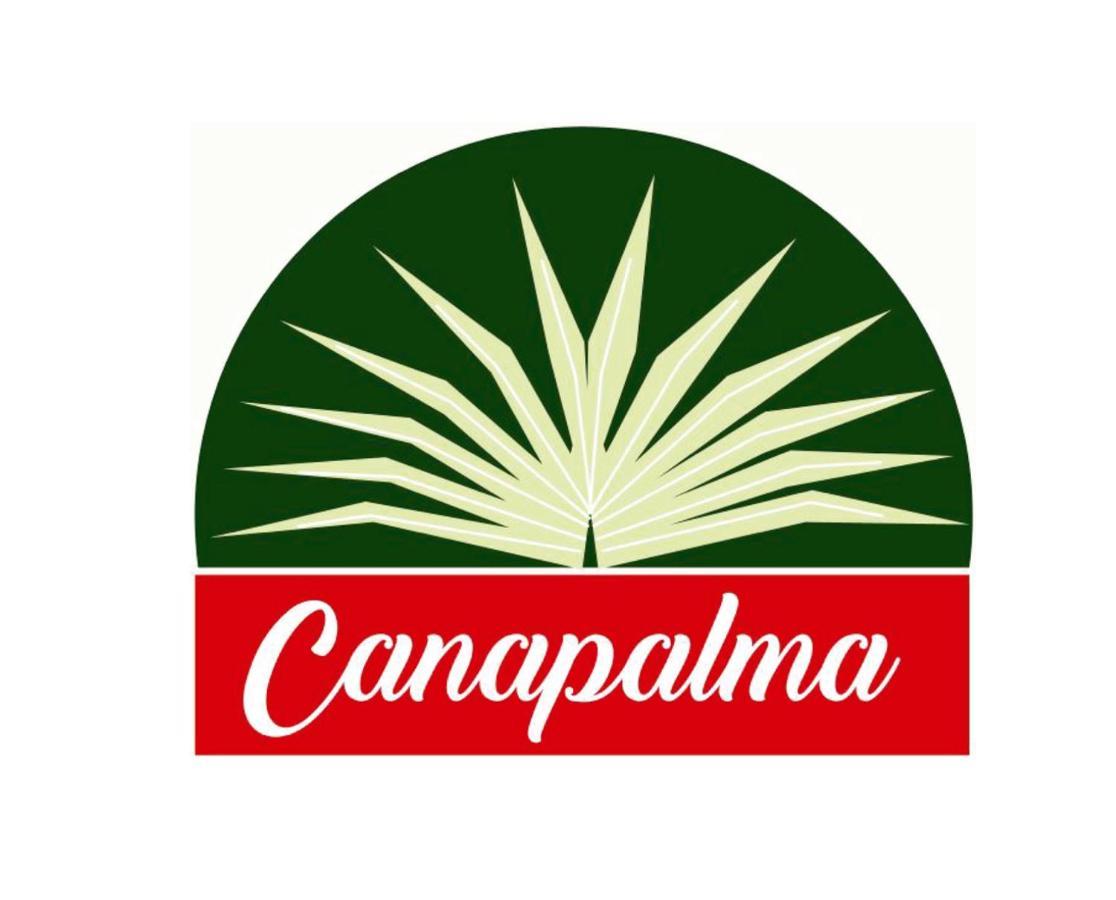סנטו דומינגו Hotel Cana Palma Zona Colonial מראה חיצוני תמונה